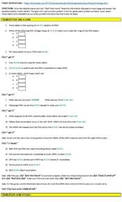 History of dna as genetic material, structure and purpose of dna, nucleotides Proteins Synthesis Activity Worksheets Teachers Pay Teachers