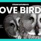 STEAM Saturdays: Love Birds event in Redlands, CA