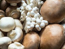 Iera's tranquil haven, perth, scotland my little haggi family basking in the sunshine, nearly haggis time, yum. 3 Ways To Tell If A Mushroom Is Poisonous The Times Of India