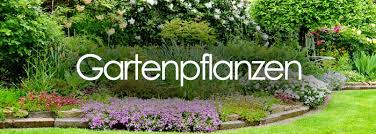 Its current status is listed as active. Muller Munchehof Pflanzen Gmbh Pflanzen Fur Forst Landschaft Und Garten Muller Munchehof Pflanzen Gmbh Gartenpflanzen Onlineversand