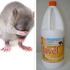 We did not find results for: Tuer Souris Avec Javel Une Methode Efficace Lesnuisibles Com