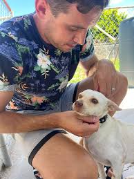 International Women's Day appreciation for Antigua rescue workers