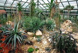 Botanická zahrada ve zkratce • zahrada zpřístupněna roku 1895 • nejmodernější dr. Botanicka Zahrada Liberec Liberec Ceskolipsko Jizerske Hory Regiontourist Cz