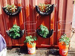 Pin On Fun Gardening