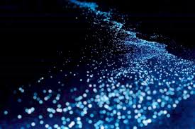 Do you see any omissions, errors or want to add information to this page? Observe The Breathtaking Sea Of Stars In The Maldives