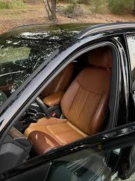 Image result for Argus Brown 2021 Audi