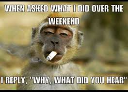 Available in a range of colours and styles for men, women, and everyone. Monkey Sunday Quotes Weekend Weekends Weekendvibes Humor Hilarious Funny Dogtrainingobedienceschool Com