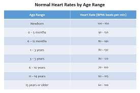 Foods like packaged (store bought) snacks, sweets, baked goods, fried foods, red meat and processed meats l. Heart Health What Is A Healthy And Normal Heart Rate For My Age