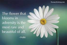 Maybe you would like to learn more about one of these? The Flower That Blooms In Adversity Mulan Pioneer Thinking