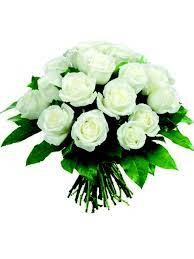 18 Roselline bianche da regalare in un occasione o ricorrenza speciale.