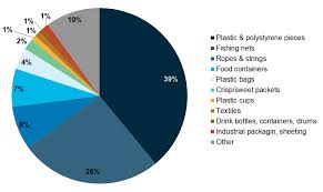 Marine Litter Wadden Sea Quality Status Report