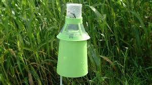 What are the integrated pest management procedures? Integrated Pest Management Center For Environmental Farming Systems