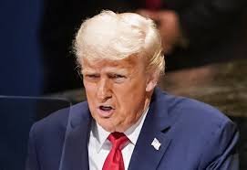 He's effectively walking away': Analysts skeptical of Trump's 'delusional'  Ukraine shift