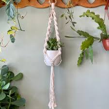 Maybe you would like to learn more about one of these? Wool Gathering Macrame Plant Hangers Plant Curio
