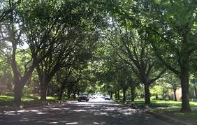 Maybe you would like to learn more about one of these? Highland Park Texas Water Quality Report