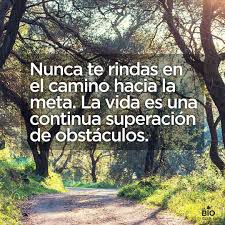 Resultado de imagen de nunca te des por vencido frases