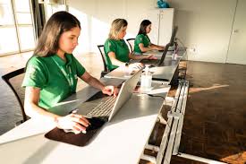 Prefeitura de Paranaguá lança aplicativo de atendimento gratuito no trânsito e amplia serviços de mobilidade urbana