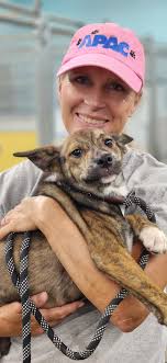 What's your favorite dog breed?