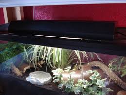 Crabitat Lights Heating Viewing And Uvb Hca Hermit Crab Association