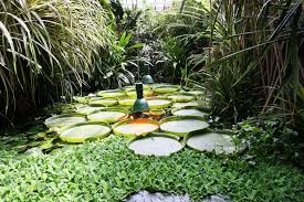 W pawilonach o powierzchni 4900 m.kw. Wakacje W Tropikach Polskie Palmiarnie Artykul Culture Pl