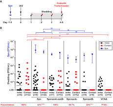 Check spelling or type a new query. An Infant Mouse Model Of Influenza Virus Transmission Demonstrates The Role Of Virus Specific Shedding Humoral Immunity And Sialidase Expression By Colonizing Streptococcus Pneumoniae Mbio