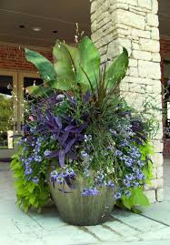 Unique By Design Landscaping Containers Container Plants Perfect Garden Plants