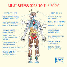 Nationally accredited by the public health accreditation board, public health serves over 10 million residents and millions of travelers each year. Effects Of Stress On The Body Stress Reachout Australia