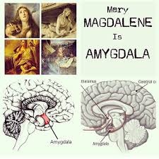 Illuminati Congo - Mary Magdalene is often picture with a Skull because she  lives in every skull. #MAGDALENE is #AMYGDALA. Located deep in the  reptilian brain, the amygdala detects danger or emotion
