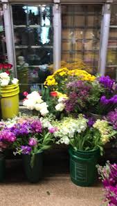 7 day freshness guarantee · fresh from the fields Potratz Floral Shop Greenhouses 1418 Buffalo Rd Erie Pa 2021
