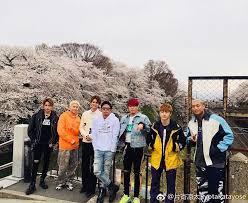 きゃわい ー 桜が似合う7人組ギネス記録 generations ギネス記録 ギネス ジェネレーションズ