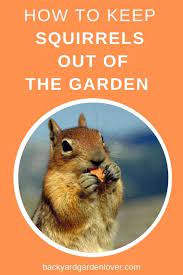 Pin On Garden Pests And Diseases