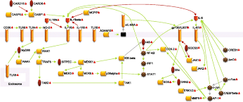 Systemic means that sjia is a disease that it's different because the signs and symptoms of sjia, like fever and rash, commonly affect the whole. Early Changes In Gene Expression And Inflammatory Proteins In Systemic Juvenile Idiopathic Arthritis Patients On Canakinumab Therapy Arthritis Research Therapy Full Text