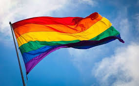 Historia, bandera lgbt, colores y significado, historia de la bandera gay. Banderas Lgbt Que Significan Y Cual Es Su Origen