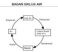 Pada tahap ini molekul glukosa akan diuraikan menjadi senyawa yang lebih sederhana. Kunci Jawaban Tema 8 Kelas 5 Sd Mi Subtema 2 Proses Siklus Air Hingga Menghasilkan Air Yang Bersih Halaman All Tribunnewsmaker Com