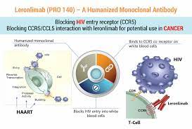 Leronlimab belongs to a group of hiv drugs called ccr5 antagonists.2. Cytodyn Developing Leronlimab Pro140 As A Pipeline In A Drug Biotuesdays