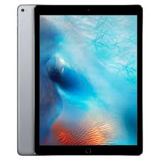 The screen is the best i have ever seen on a tablet and the m1 chip powering everything is capable of great things. Ipad Pro 12 9 In 256gb Wifi Cellular Space Gray 2015 Refurbished Allo Allo