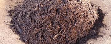 Aussi nommées plantes acidophiles, les plantes de terre de bruyère sont des plantes et arbustes qui apprécient tout particulièrement les sols acides (ph entre 4 et 5), humifères et plutôt légers et frais. Comment Utiliser La Terre De Bruyere