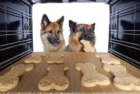 The recipes contain healthy ingredients for dogs and the treats can be used to reward your dog for good behavior or to just give them a delicious treat for being such a great companion. Pin On Joanie S Kitchen