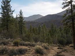 We did not find results for: San Bernardino National Forest California Recreation Gov
