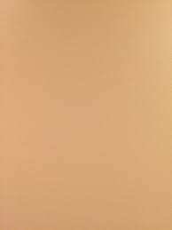 Subtle Paint Texture On A Flat Tan Wall Free Textures