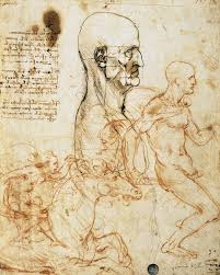 Leonardo made many important discoveries. The Nature Of The Human Body Before Dressing Them We First Draw By Walter Isaacson Medium