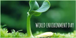 Start Today Save Tomorrow Clean Up Our Climate A Green Planet Is A Clean Planet World Envi Happy Environment Day Environment Day World Environment Day