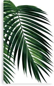 We had such hot weather around here last week that it has felt like summer. Tropical Palm Leaf Printable Leaf Wall Art Novocom Top