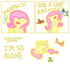 Brony Fluttershy My Little Pony