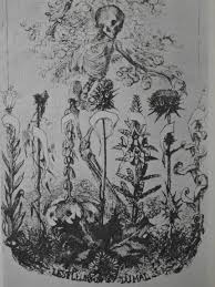 Pin By Bethany Kohoutek On Curio The Flowers Of Evil Mystical Art Art