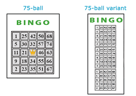Check spelling or type a new query. Bingo Rules Types Strategy Video How To Play Bingo