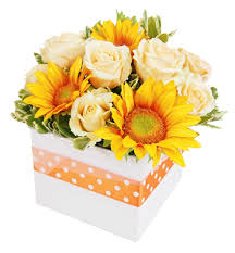 Send Get Well Soon Flowers In Singapore From 39 Little Flower Hut