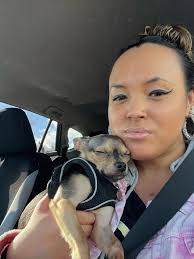 Introducing my purebred Pomeranian and Pom x Chow mix