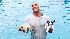 The Rock to the rescue! Dwayne Johnson saves puppy from drowning