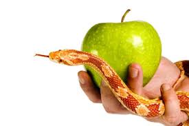 The talmudists and cabalists agree that there are two gardens of eden: Adam Eve And That Damned Snake Sojourners